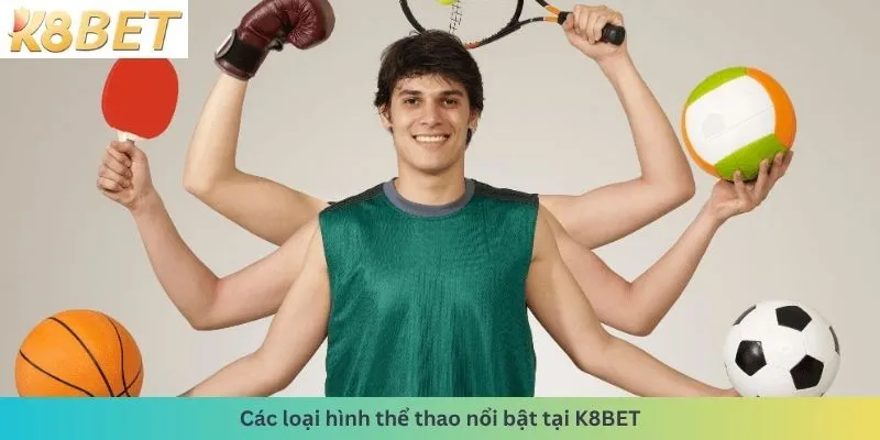 Các loại hình thể thao