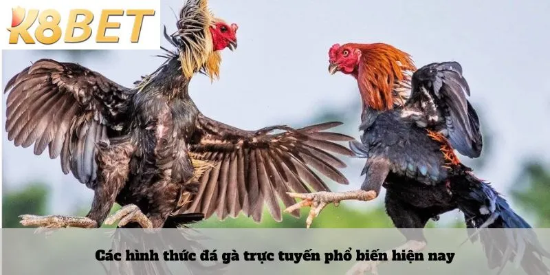 Các hình thức đá gà trực tuyến phổ biến hiện nay