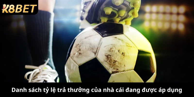 Danh sách tỷ lệ trả thưởng của nhà cái đang được áp dụng