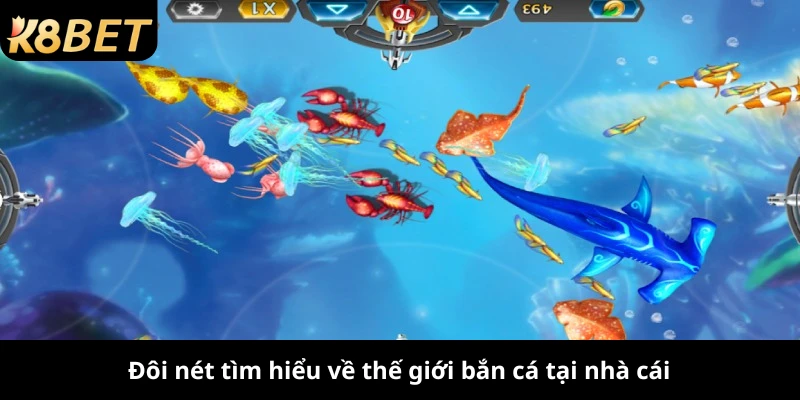 Đôi nét tìm hiểu về thế giới bắn cá tại nhà cái
