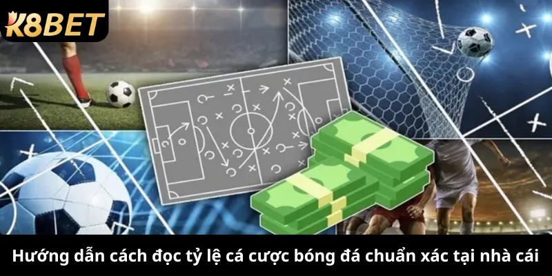 Hướng dẫn cách đọc tỷ lệ cá cược bóng đá chuẩn xác tại nhà cái