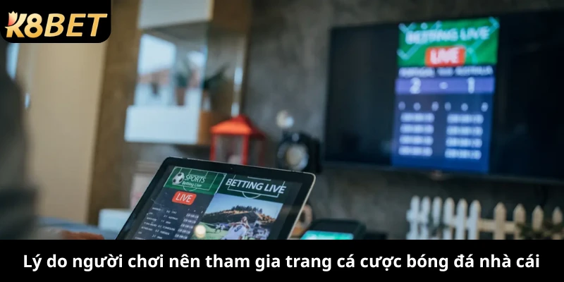 Lý do người chơi nên tham gia trang cá cược bóng đá nhà cái