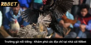 trường gà nổi tiếng